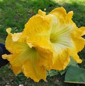 Meet your Posher, Matty salas